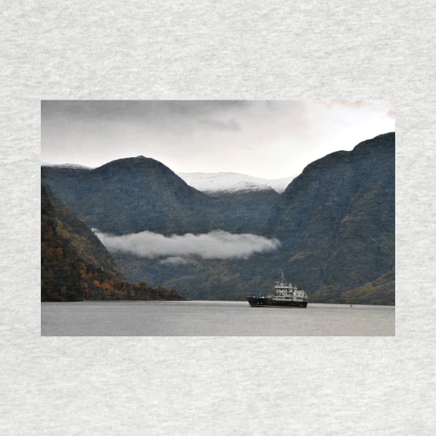 Aurlandsfjord Flam Norwegian Fjord Norway by Andy Evans Photos